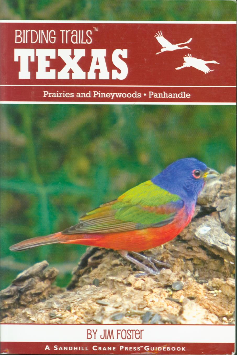 BIRDING TRAILS TEXAS: prairies and pineywoods; panhandle. 